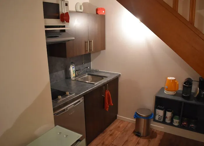 Duplex A 1 Kilometre De Disneyland Paris *