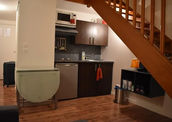 Duplex A 1 Kilometre De Disneyland Paris Apartamento *